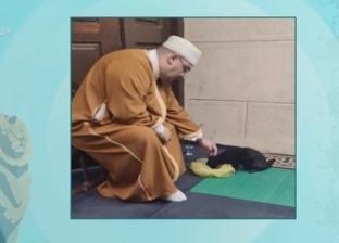 إمام مسجد يرعى قطط وكلاب الشارع.. «الراحمون يرحمهم الرحمن»