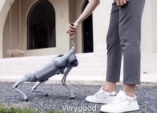 شركة صينية تطلق روبوت على هيئة كلب.. يمكنه التحدث والتقاط الصور (فيديو)