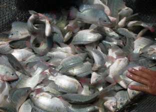 دراسة: تناول الأسماك يقلل من خطر الوفاة المبكرة