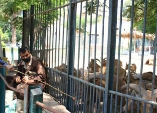 تعرف على سعر تذكرة حديقة الحيوان بالجيزة 2022 للمصريين والأجانب