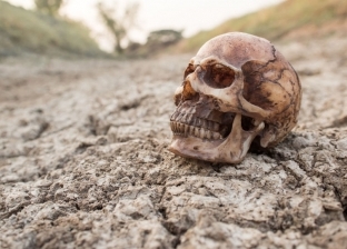 علماء بريطانيون يعثرون على جمجمة قديمة عمرها 35 ألف عام في منغوليا