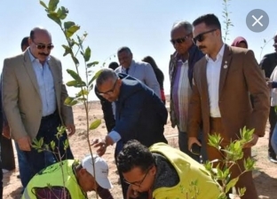 مؤسسة «هنجملها» تهدي محافظة أسوان 3 آلاف شجرة مثمرة