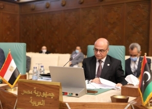 «مروان» لوزراء العدل العرب: يجب عدم ترك أي ثغرة قانونية للإرهابيين