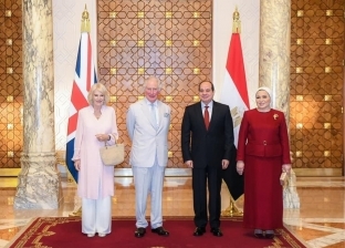 السفير البريطاني: لقاء الأمير تشارلز بالسيسي «ممتاز»