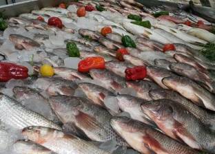 استقرار أسعار الأسماك في سوق العبور.. والبلطي بـ 35 جنيها للكيلو