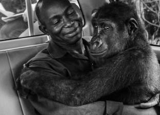 مصورو العالم يتضامنون لإنقاذ الحياة البرية.. "لا للاتجار بالحيوان"