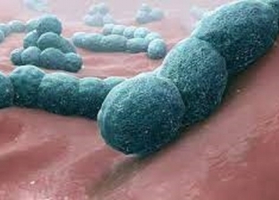 بكتيريا نادرة تتسبب في وفاة 9 أطفال ببريطانيا.. «فيديو»