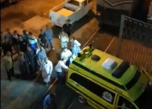قرد يعتدي على 4 أشخاص ويصيبهم بجروح في الإسماعيلية