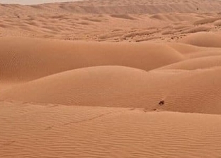 بعد شائعة أسد أسيوط.. ما الحيوانات المفترسة المتواجدة في صحراء مصر؟
