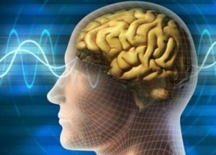 علماء يعكفون على تصنيع ذاكرة تشبه الدماغ البشرية