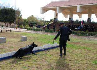 "الداخلية": تدريبات مكثفة على التعامل مع كلاب الأمن والحراسة