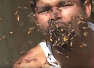 بالفيديو| هندي يأكل حشرات "النحل" حية