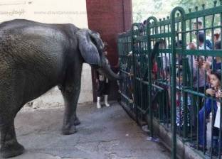 فتح حديقة الحيوان مجانا السبت بمناسبة العيد القومي للجيزة