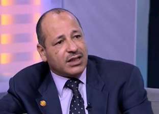 خبير استراتيجي: الإرهابيون أعدوا نفسهم جيدا للبقاء في سيناء فترة طويلة