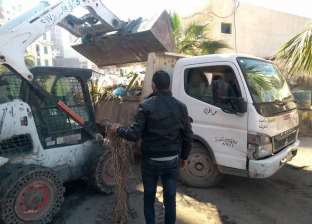 رفع 28 طن مخلفات قمامة بحي الجمرك في الإسكندرية