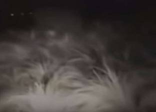 بالفيديو| حارس يهرب من كائن غريب متوج بدوائر من الدخان