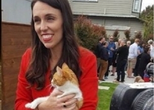 "أنا سامحتك".. قصة قاتل قطة رئيسة وزراء نيوزيلندا