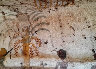 بالصور| العثور على تابوت حجري بداخله مومياء بالبر الغربي في أسوان