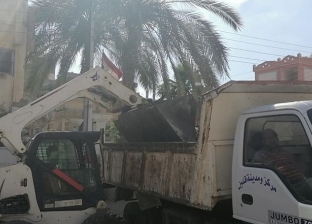 حملات مكثفة لنظافة وتعقيم شوارع ومنشآت قلين بكفر الشيخ   