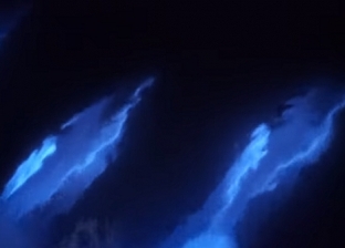 فيديو.. لقطات نادرة لظهور دلافين متوهجة تحت المياه