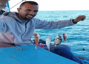 مهندس فى مهمة صيد لخفض الأسعار: السمك من إسكندرية والزبون من الشيخ زايد