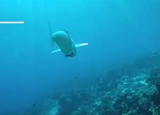 بالفيديو| "صوفي".. سمكة آلية بكاميرا وبطارية لدراسة الحياة البحرية