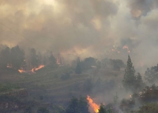 «القاهرة الإخبارية»: حرائق الغابات تهدد أوروبا بسبب ارتفاع درجات الحرارة