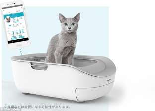 شركة يابانية تطور مرحاضا ذكيا للقطط ثمنه 4 آلاف جنيه