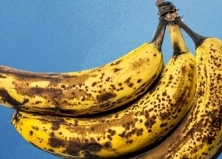 سر انتشار الهاموش على الموز بعد وضعه في طبق الفاكهة.. اعرف الحل