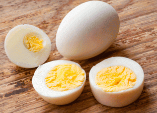 استشاري تغذية: البيض يحتوي على بكتيريا شديدة الخطورة تسبب التسمم