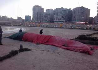 بالصور| العثور على كائن بحري ضخم على شاطئ في الإسكندرية