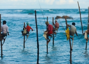 بالفيديو| أغرب طريقة لصيد السمك في سريلانكا