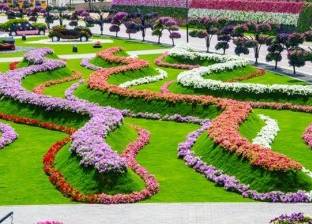 بالصور| 45 مليون زهرة في دبي.. أهلا بكم في "الحديقة المعجزة"