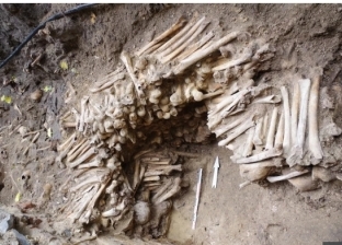 العثور على جدار مصنوع من عظام وجماجم بشرية أسفل كاتدرائية في بلجيكا