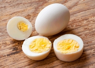 هل وضع البيض في «اللانش بوكس» يفسده؟.. رد حاسم من «القومي للتغذية»