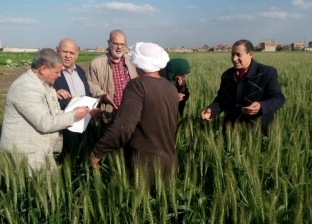 وزارة الزراعة تطمئن على محصول القمح في محافظتي القليوبية والشرقية