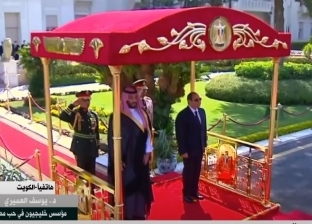 «خليجيون في حب مصر» لقناة القاهرة الإخبارية: العلاقات المصرية الخليجية جذورها متينة