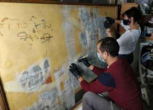 مبادرة لتحويل شوارع أسوان إلى جداريات فنية: «مع كل رسمة رسالة».. فيديو