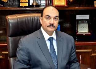 نائب رئيس «المؤتمر»: مصر تلعب دورا محوريا في تعزيز الجهود الدولية لإنهاء حرب غزة