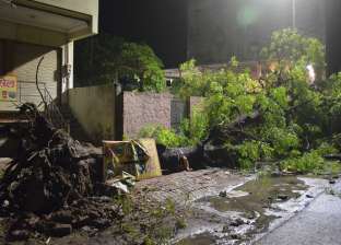 مقتل 47 شخصا جراء عواصف رعدية في شمال الهند