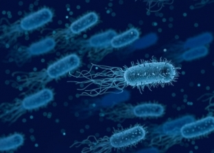 تحذيرات أمريكية من انتشار بكتيريا مقاومة للأدوية.. رصد 148 حالة