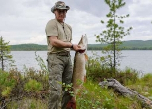 صيد الأسماك وتربية الكلاب.. تعرف على الوجه الآخر للرئيس الروسي «بوتين»