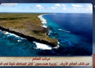 جزيرة هندرسون الأكثر تلوثا بالعالم.. قطعة بديعة أصبحت «مقلب» نفايات المحيط