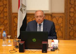 وزير الخارجية: مصر ركيزة الاستقرار في منطقة الشرق الأوسط