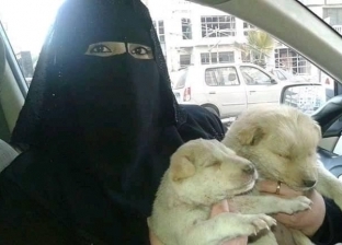 كلبها مات من الرعشة.. "ريم" تصمم ملابس للكلاب والقطط: معاناة مش هكررها