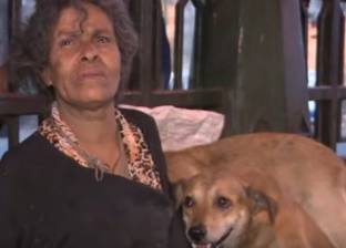 بالفيديو| "هدى".. امرأة اتخذت من كلاب الشارع أهلا لها