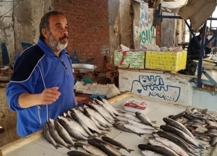استقرار أسعار الأسماك اليوم في الأسواق.. و«البلطي» بـ35 جنيهًا