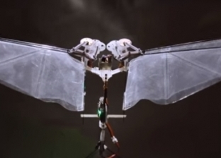 بالفيديو| روبوت متحرك يحاكي حركات طيران ذبابة الفاكهة
