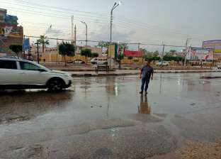 فيديو.. هطول أمطار غزيرة على محافظة الدقهلية