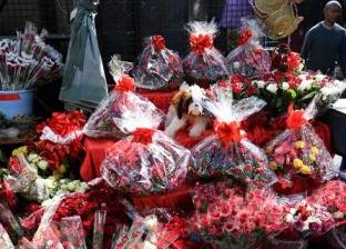 عيد الحب.. لماذا يحتفل المصريون به في 4 نوفمبر؟